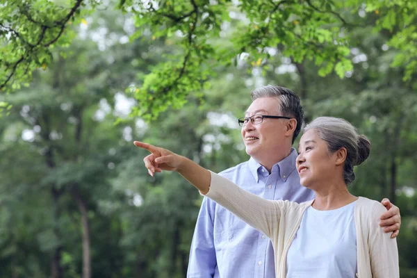 Szczęśliwa stara para patrząca na krajobraz w parku — Zdjęcie stockowe
