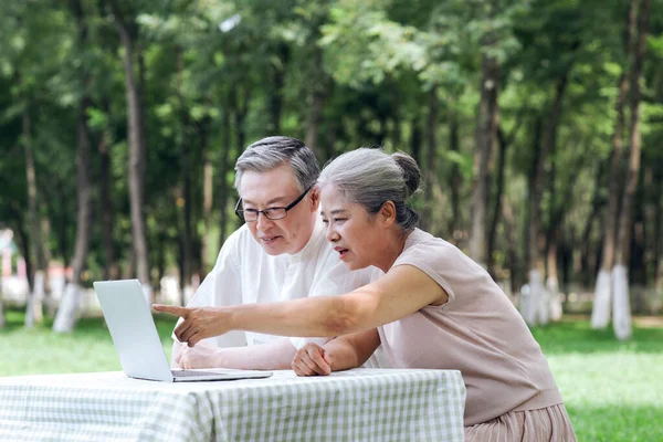 Felice vecchia coppia utilizzare il computer per navigare in Internet all'aperto — Foto Stock