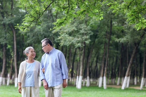 Feliz casal velho andando no parque — Fotografia de Stock