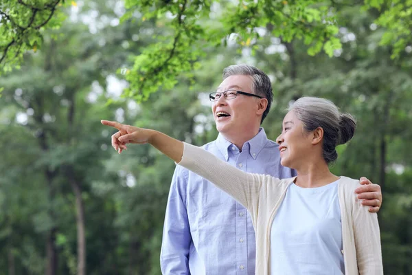 Felice vecchia coppia guardando il paesaggio nel parco — Foto Stock