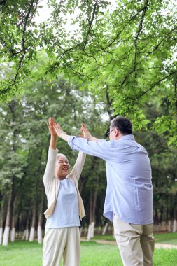 Parktaki manzaraya bakan mutlu yaşlı çift.