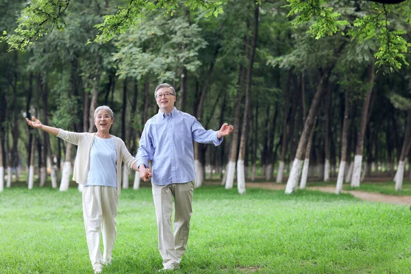 Ευτυχισμένο ζευγάρι ηλικιωμένων κοιτάζοντας το τοπίο στο πάρκο — Φωτογραφία Αρχείου
