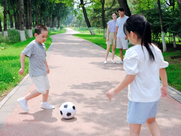 Familia feliz de cuatro jugando al fútbol en el parque — Foto de Stock
