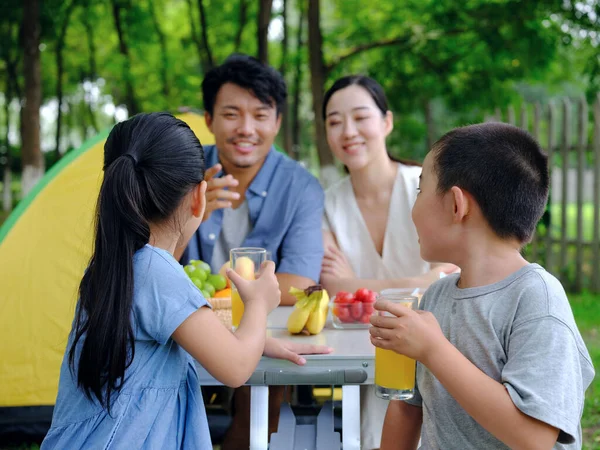 Una famiglia felice di quattro gite all'aperto — Foto Stock