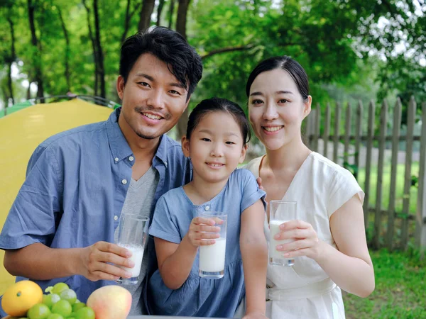 A Happy family of three outdoor outings — Stock Photo, Image