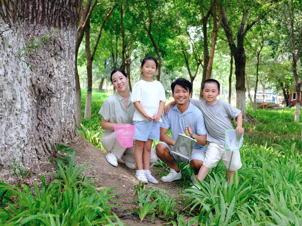 Uma família feliz de quatro insetos capturando ao ar livre — Fotografia de Stock