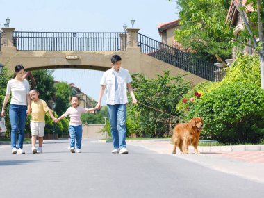 Dışarıda gezen dört köpekli mutlu aile.