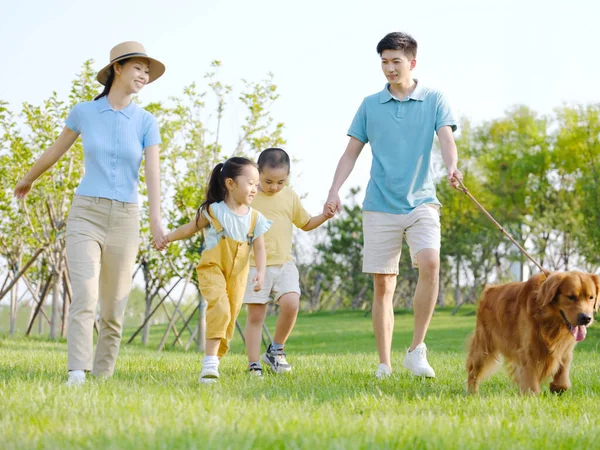 Šťastná rodina čtyř psů v parku — Stock fotografie