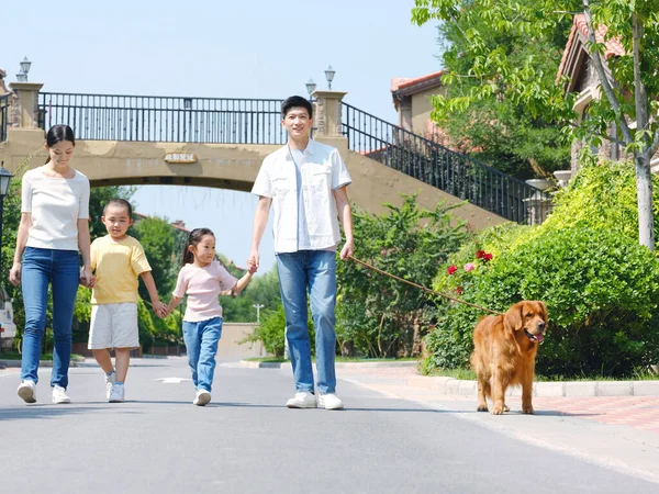 Happy family of four walking dogs outdoors — Stock Photo, Image