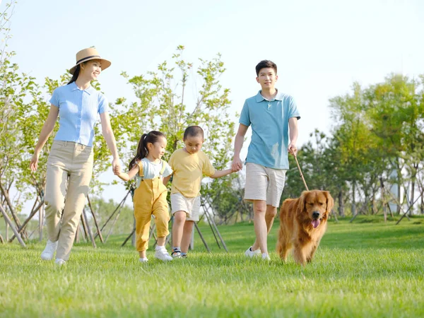 Família feliz de quatro cães ambulantes no parque — Fotografia de Stock