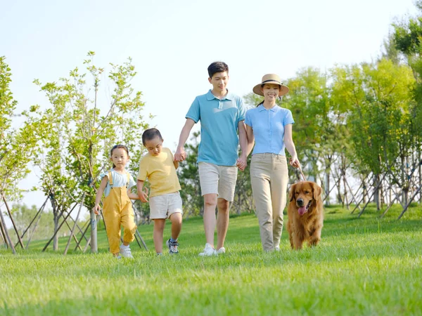 Щаслива сім'я з чотирьох пішохідних собак в парку — стокове фото