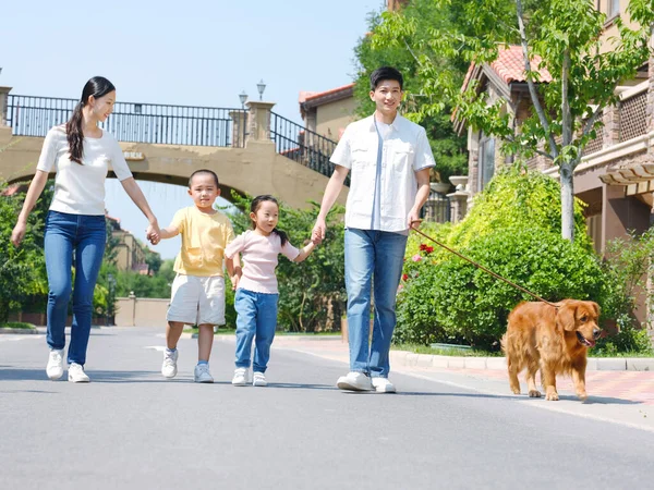 Щаслива сім'я з чотирьох собак, що ходять на відкритому повітрі — стокове фото
