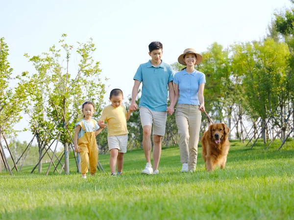 Joyeux famille de quatre chiens ambulants dans le parc — Photo