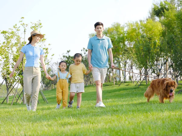 Familia feliz de cuatro perros paseantes en el parque —  Fotos de Stock