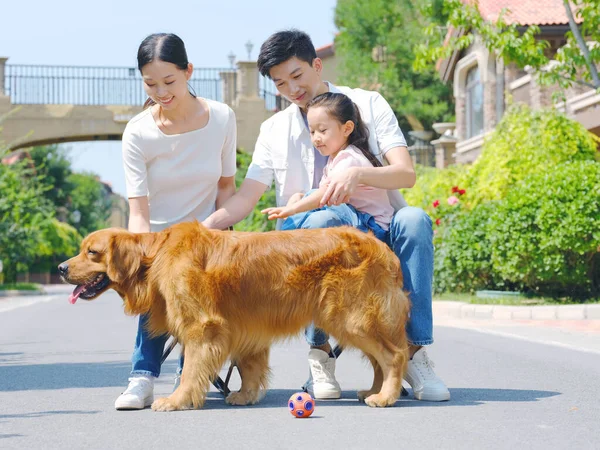 Ευτυχισμένη οικογένεια των τριών και κατοικίδιο ζώο σκυλί παίζει σε εξωτερικούς χώρους — Φωτογραφία Αρχείου