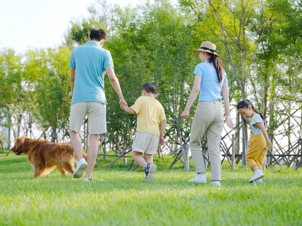 Família feliz de quatro cães ambulantes no parque — Fotografia de Stock