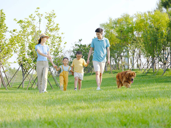 Happy family of four walking dogs in the park