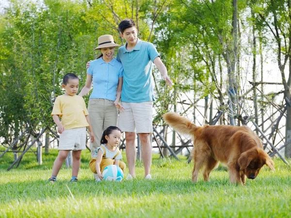 Счастливая семья из четырех человек и собака, играющая в парке — стоковое фото