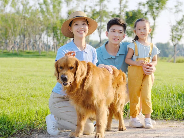 Щаслива сім'я трьох собак і домашніх тварин у парку — стокове фото