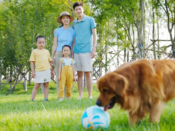 Familia feliz de cuatro y perro mascota jugando en el parque — Foto de Stock