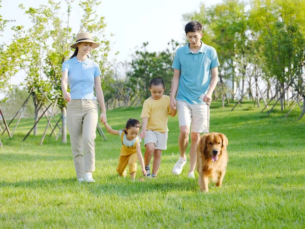 Szczęśliwa rodzina czterech psów spacerujących w parku — Zdjęcie stockowe