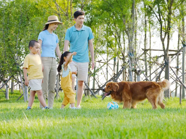 Famiglia felice di quattro e cane da compagnia che gioca nel parco — Foto Stock