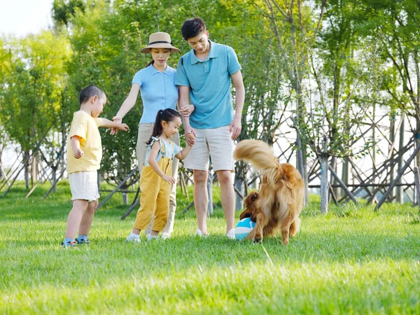 Šťastná čtyřčlenná rodina a mazlíček si hrají v parku — Stock fotografie