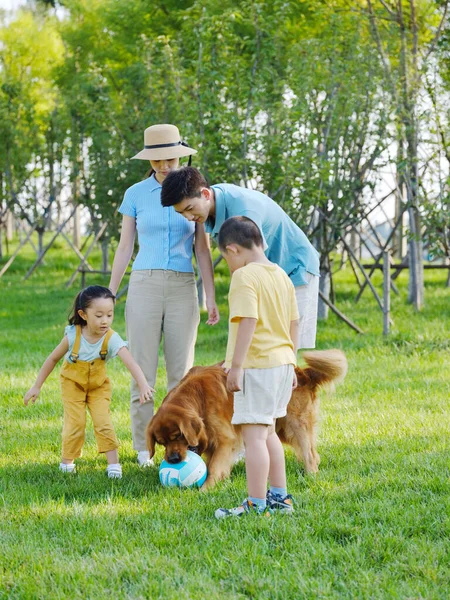Šťastná čtyřčlenná rodina a mazlíček si hrají v parku — Stock fotografie