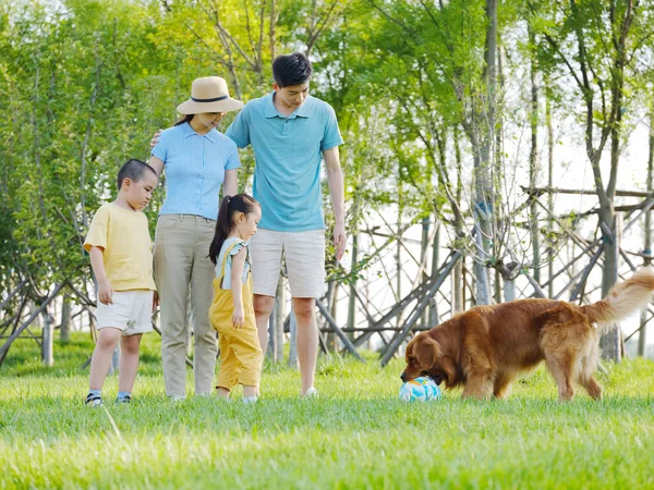 Joyeux famille de quatre et chien de compagnie jouant dans le parc — Photo