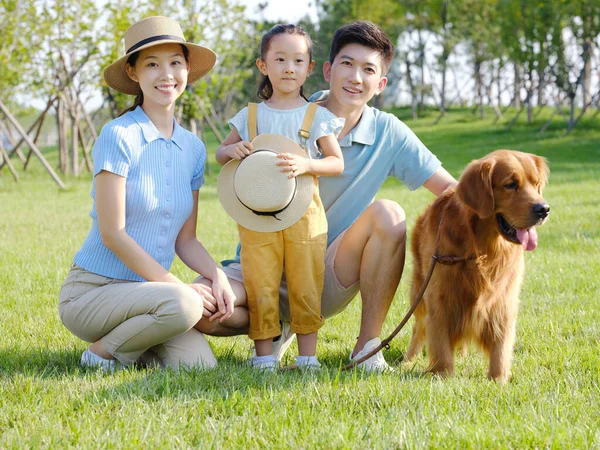 Üç kişilik mutlu bir aile ve açık hava fotoğrafında evcil bir köpek. — Stok fotoğraf