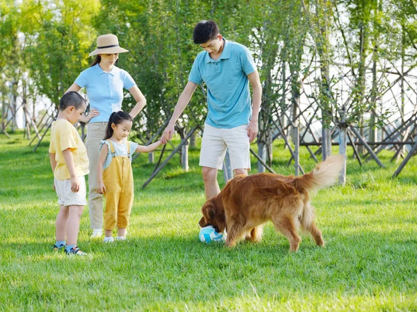 Famiglia felice di quattro e cane da compagnia che gioca nel parco — Foto Stock