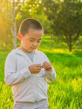 Mutlu küçük çocuk parkta oynuyor.