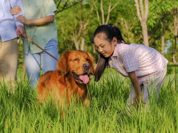 Ευτυχισμένη οικογένεια των τριών και κατοικίδιο ζώο σκυλί παίζει στο πάρκο — Φωτογραφία Αρχείου