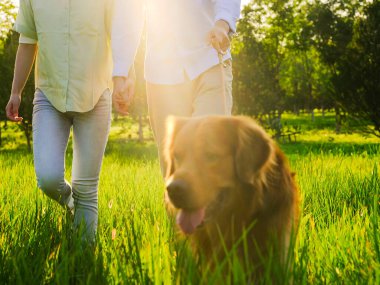Parkta köpekleri gezdiren genç aşıklar