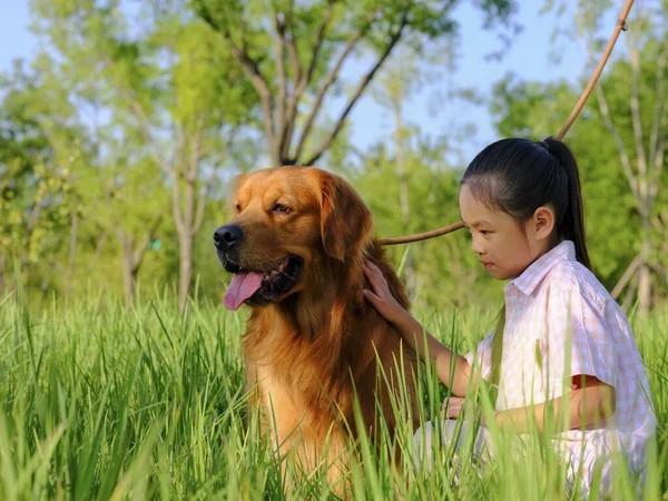 Ευτυχισμένο κορίτσι και σκυλί συντροφιάς παίζει στο πάρκο — Φωτογραφία Αρχείου