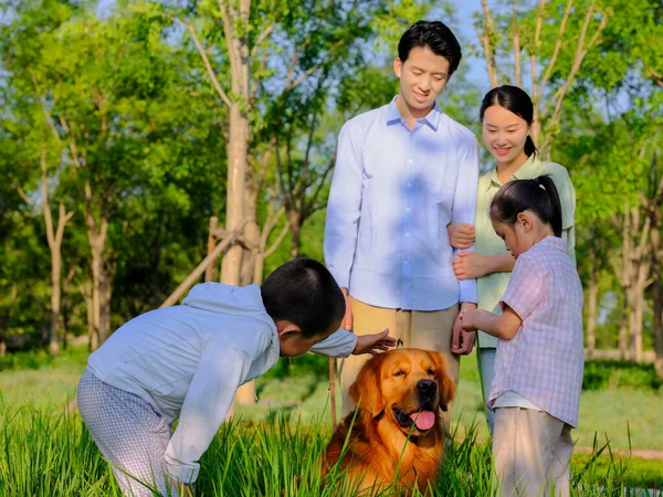 Familia fericită de patru și câinele de companie jucându-se în parc — Fotografie, imagine de stoc