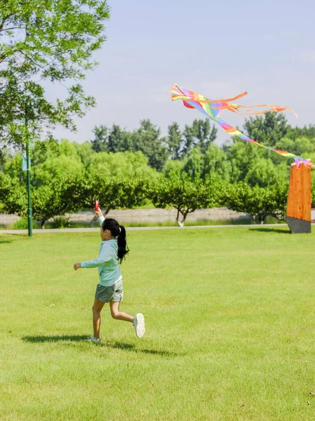 Счастливая маленькая девочка запускает воздушного змея в парке — стоковое фото
