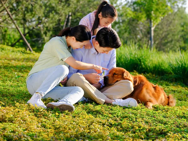 Šťastná rodina tří a mazlíček si hrají v parku — Stock fotografie