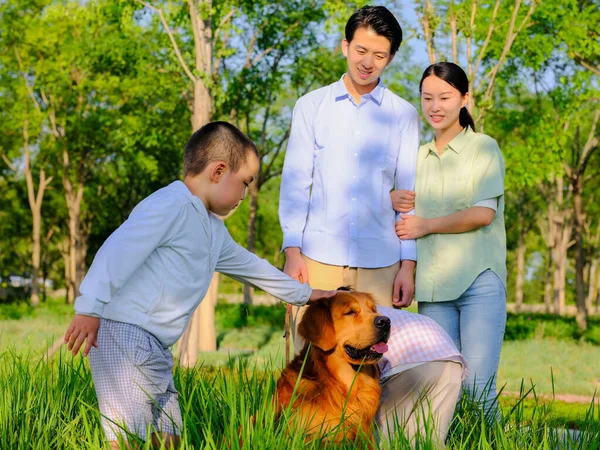 Família feliz de quatro e cão de estimação brincando no parque — Fotografia de Stock