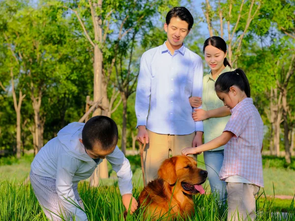 Família feliz de quatro e cão de estimação brincando no parque — Fotografia de Stock