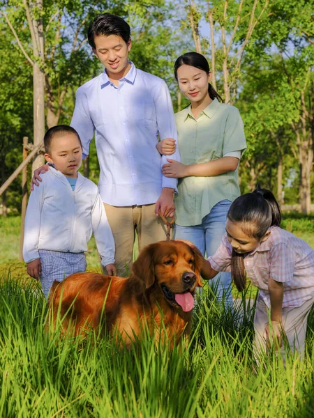 Família feliz de quatro e cão de estimação brincando no parque — Fotografia de Stock