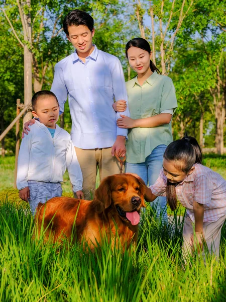 Glückliche vierköpfige Familie und Hund spielen im Park Stockbild