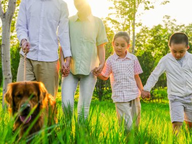 Parkta dört köpekli mutlu bir aile.