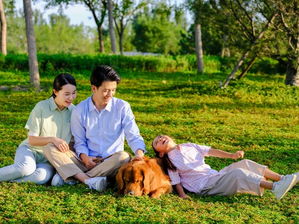 Família feliz de três e cão de estimação brincando no parque — Fotografia de Stock