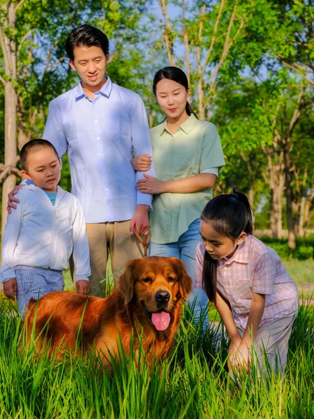 Joyeux famille de quatre et chien de compagnie jouant dans le parc — Photo