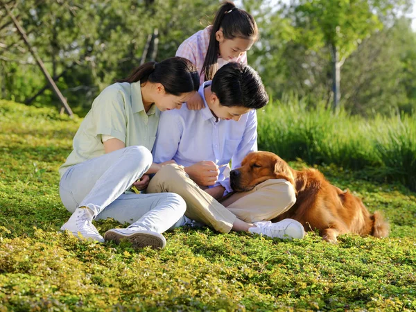 Счастливая семья из трех человек и собака, играющая в парке — стоковое фото