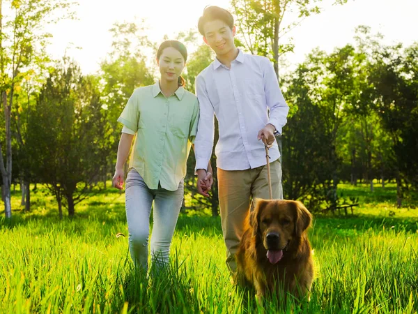 Молоді коханці гуляють собаками в парку — стокове фото