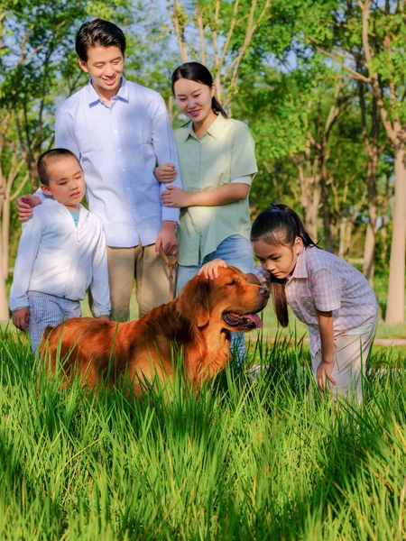 Joyeux famille de quatre et chien de compagnie jouant dans le parc — Photo