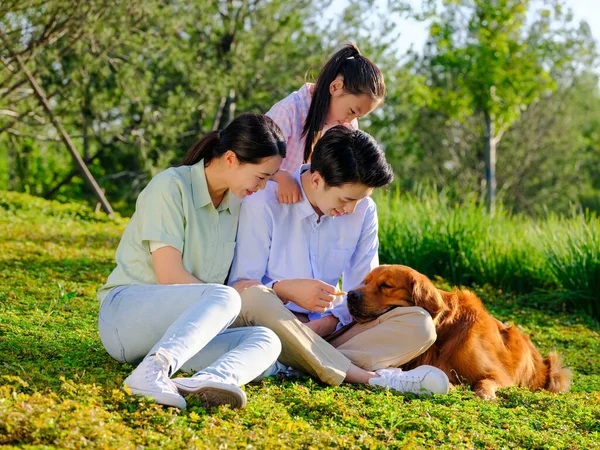 Família feliz de três e cão de estimação brincando no parque — Fotografia de Stock