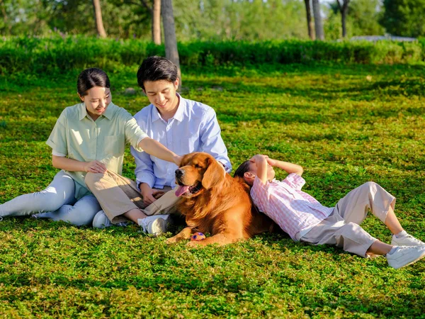 Família feliz de três e cão de estimação brincando no parque — Fotografia de Stock